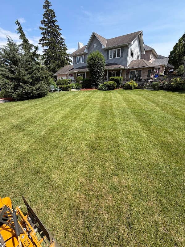 AP LAWN & PROPERTY MAINTENANCE inc. photo 2