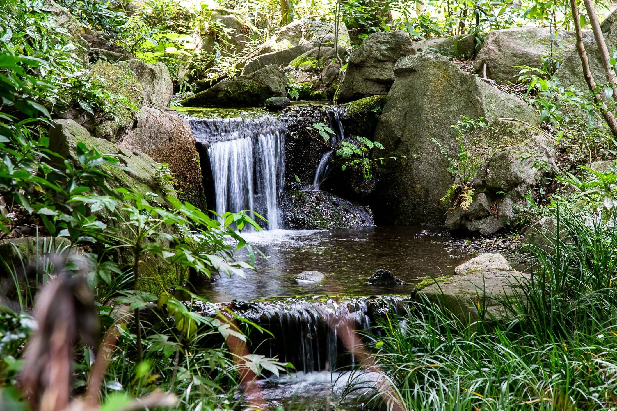 Aquastone Landscapes photo 5