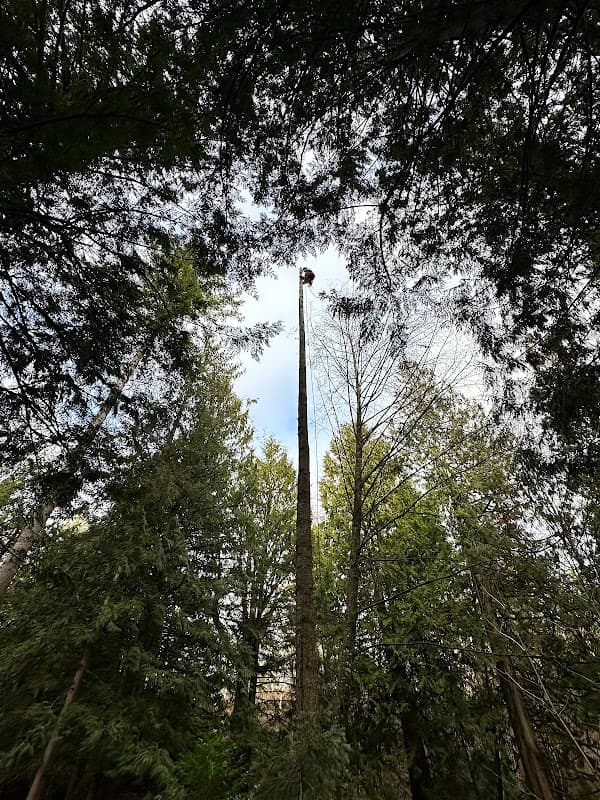 Arbor West Contracting project photo