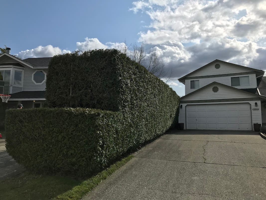 Arbor West Contracting photo 2