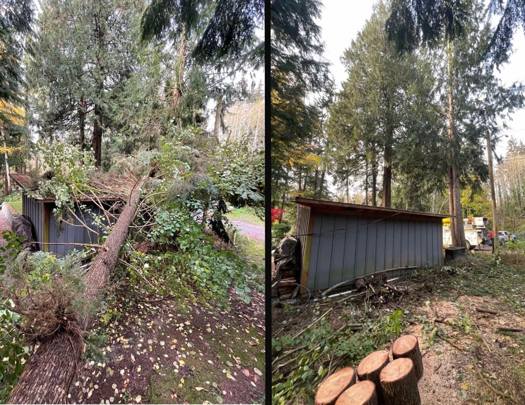 Arbor West Contracting photo 4