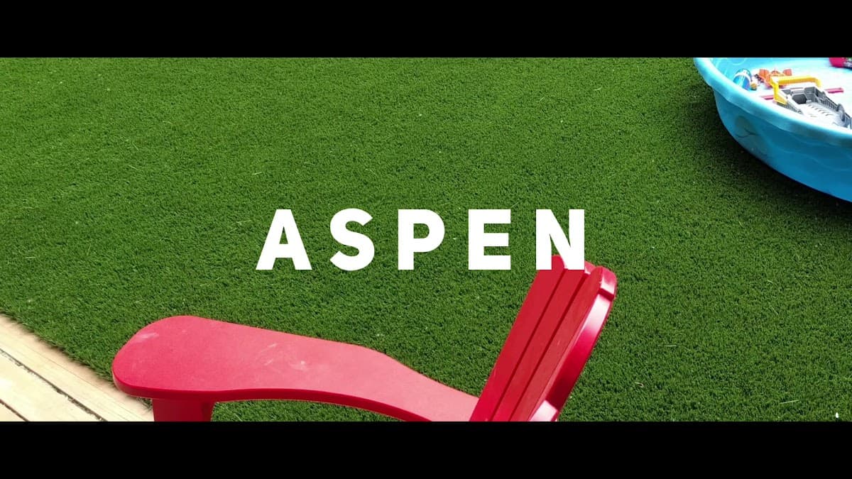 Aspen Turf photo 4