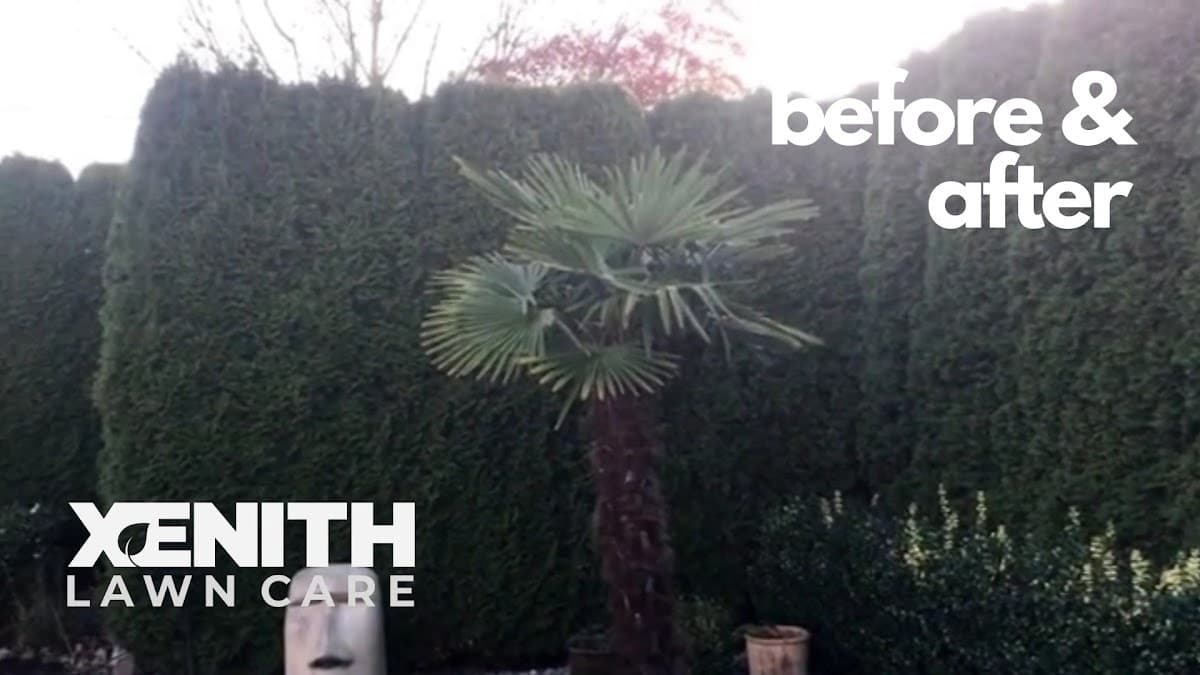 Augusta Lawn Care of Burnaby photo 2