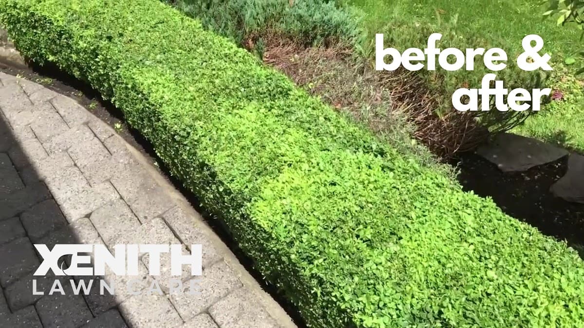 Augusta Lawn Care of Burnaby photo 3