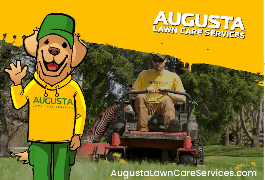 Augusta Lawn Care of Maple Ridge photo 4