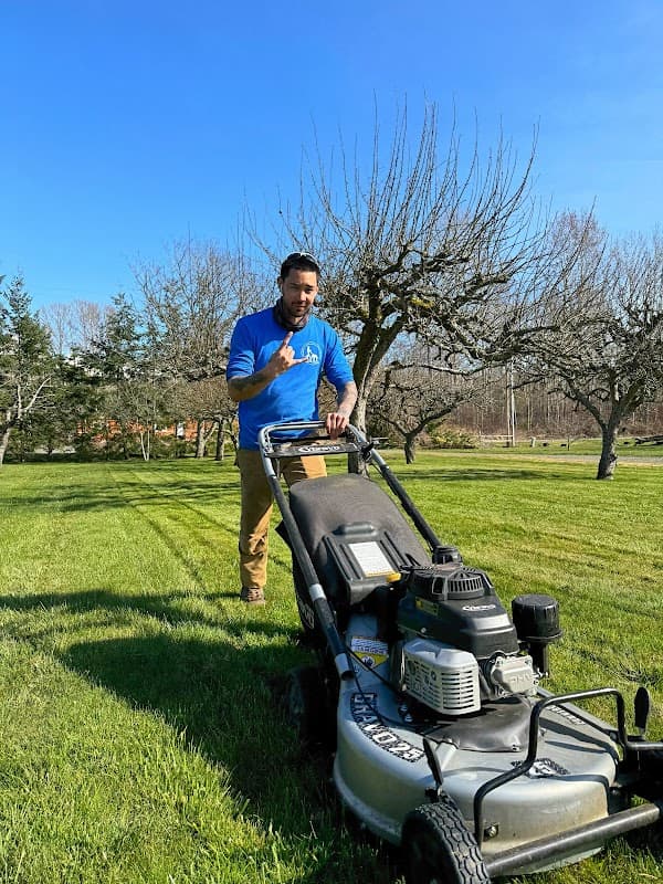 Aura Landscaping