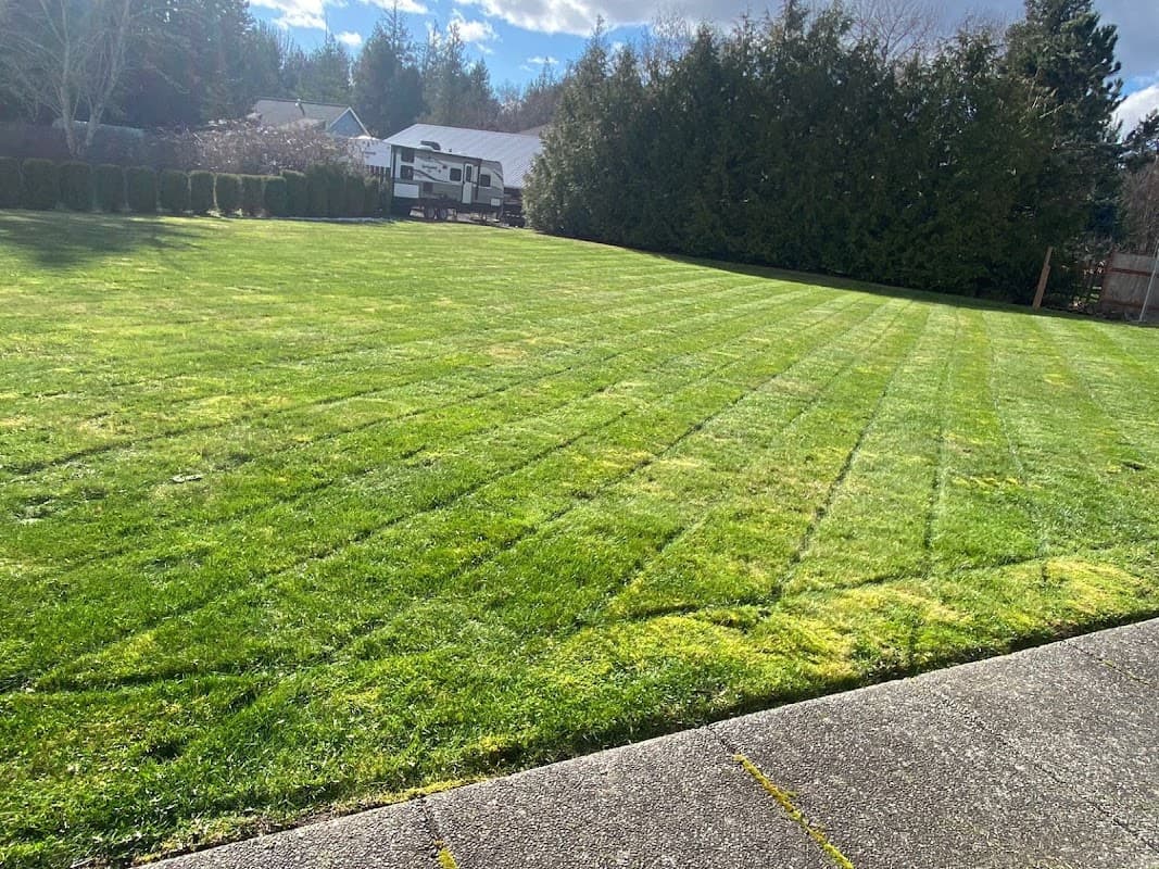 Aura Landscaping photo 2