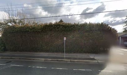 B & M Professional Gardening Services Ltd.