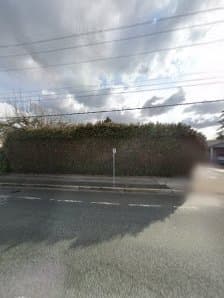 B & M Professional Gardening Services Ltd. photo 2