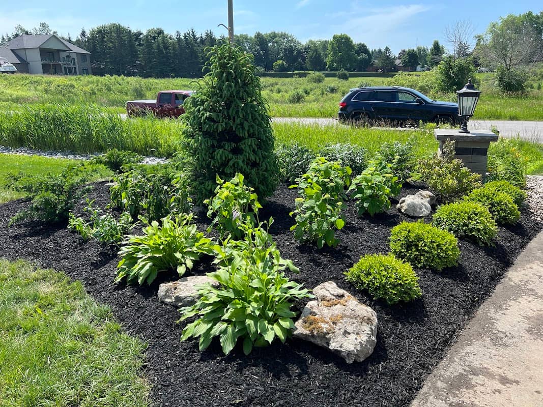 Bella’s Lawn and Garden photo 2
