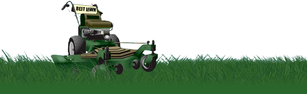 Best Lawn photo 3
