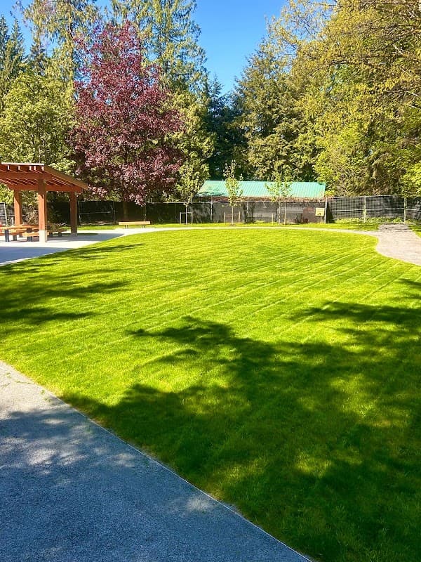 Beyond Landscaping Burnaby