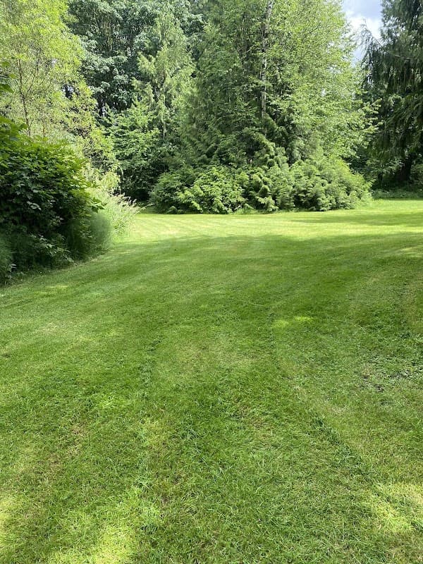 Black Diamond Landscaping