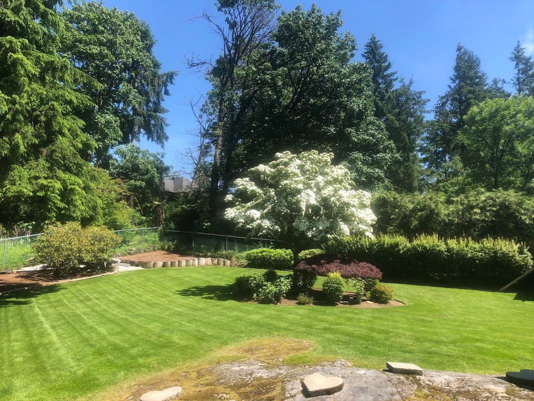 Black Forest Landscaping project photo