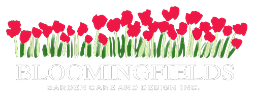 Bloomingfields Garden Care & Design Inc | North Vancouver landscaping & gardening photo 2