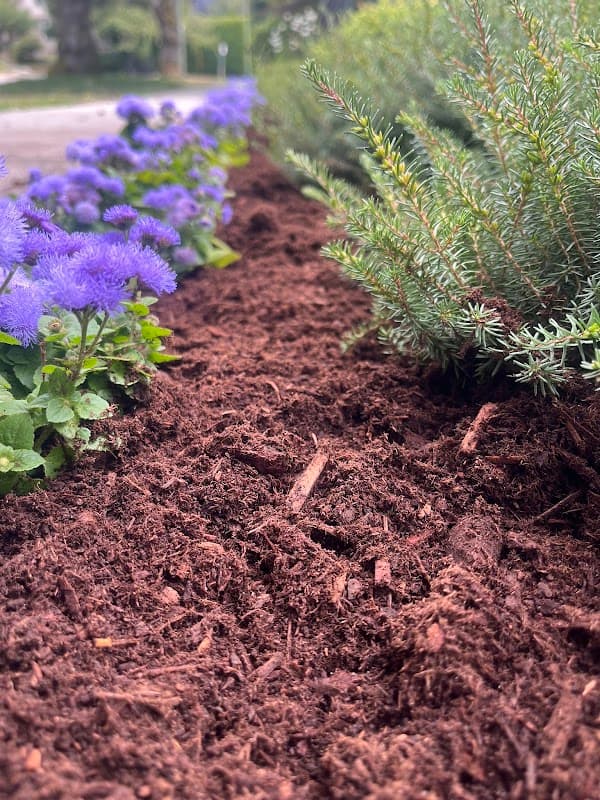 Blossom Landscaping project photo