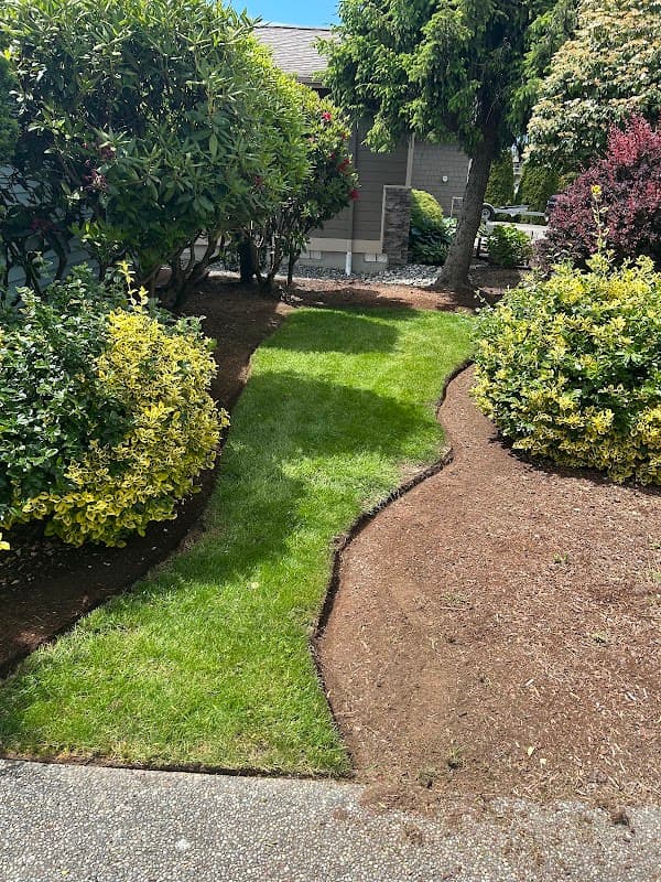 Borderview Lawn Care photo 4