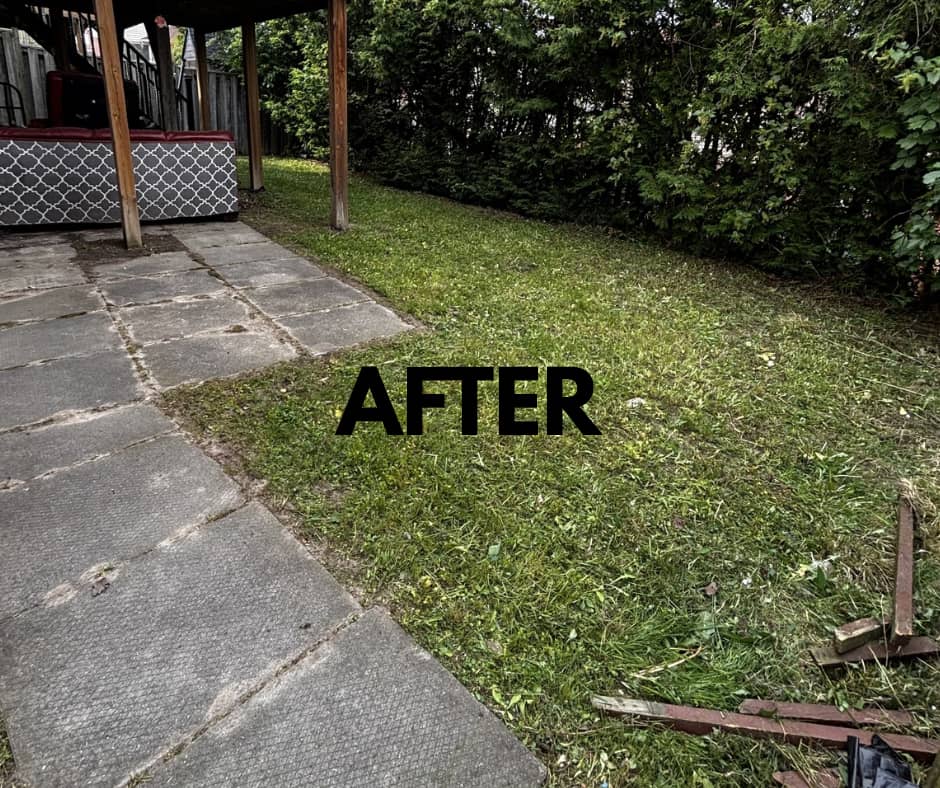 BrightScape Property Services photo 2