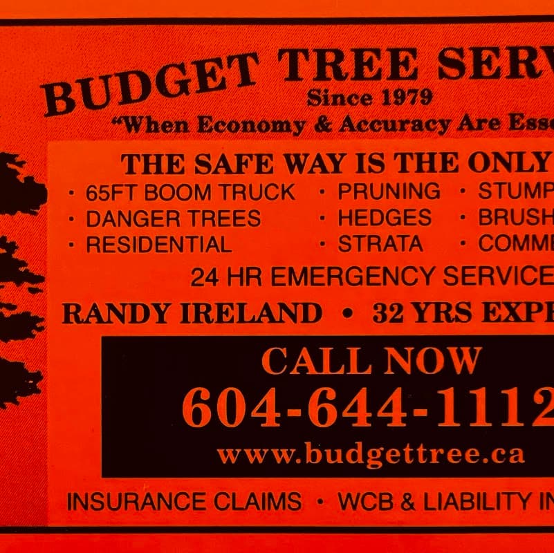 Budget Tree Service project photo