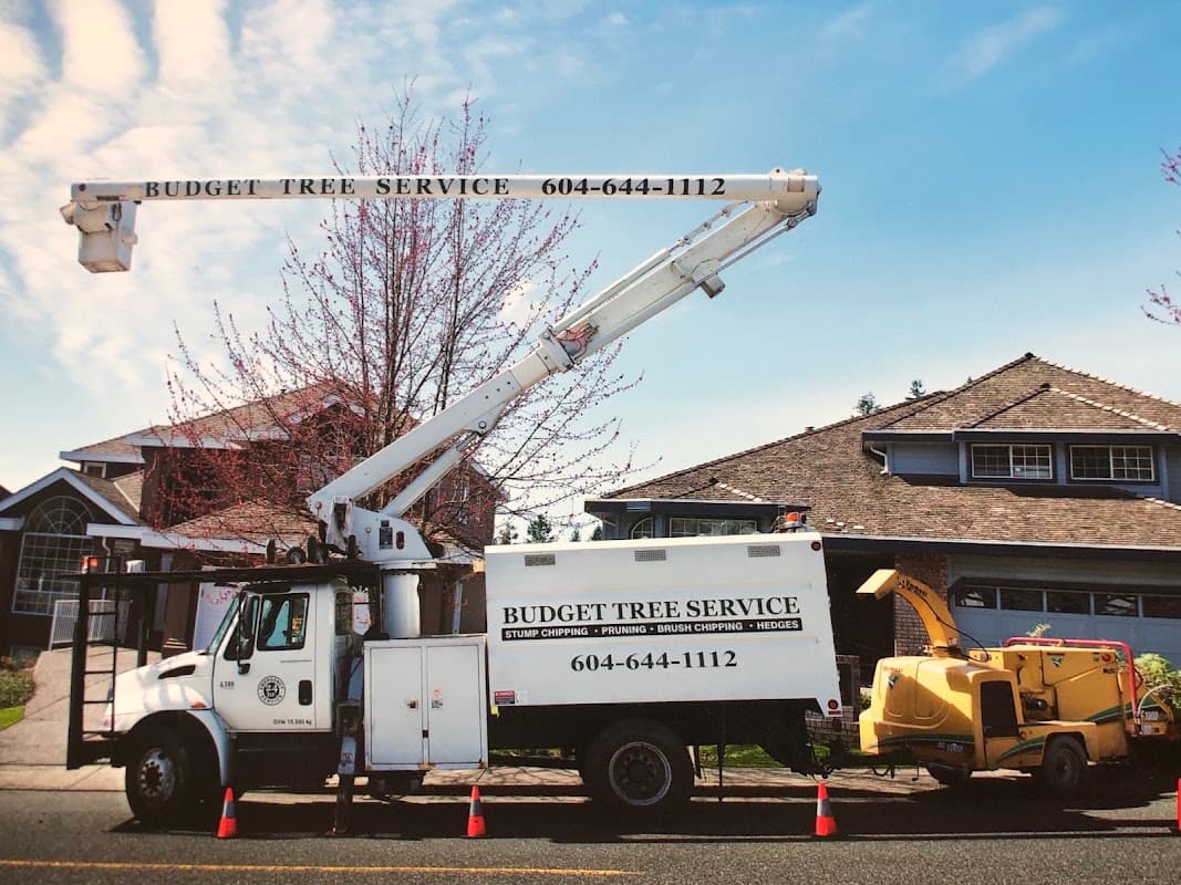 Budget Tree Service photo 2