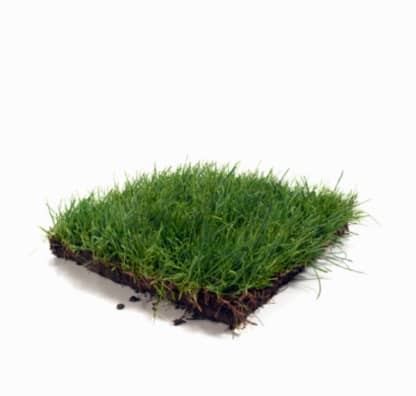 Canadian Independent Sod Co Ltd photo 2