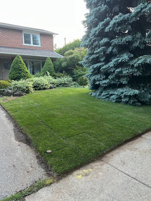 Caribou Cuts Lawn Care photo 2
