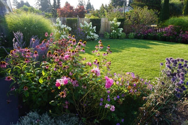 CJs Gardening photo 3