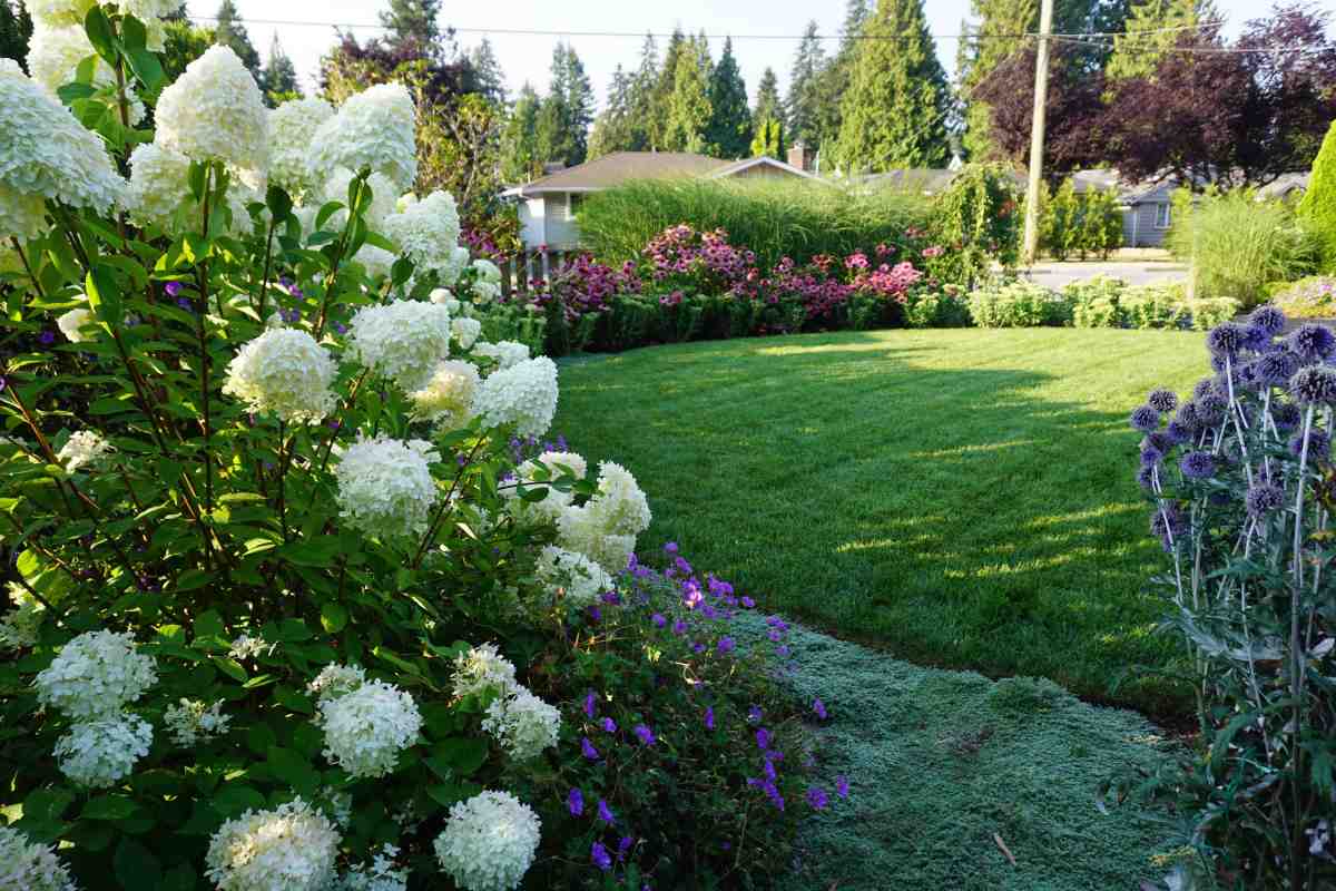 CJs Gardening photo 5
