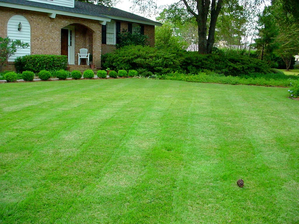 CJS Landscaping photo 3