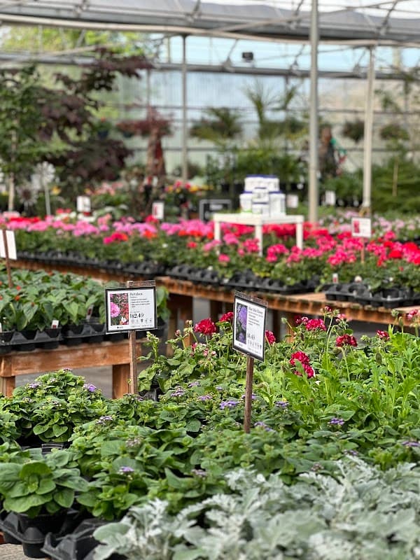 Clearview Country Market photo 5