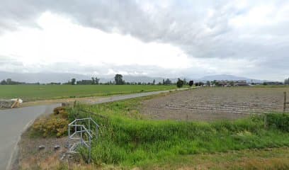 Country Green Landscaping