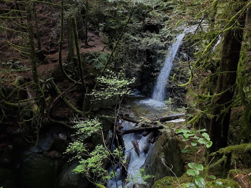 Cypress Falls Park | West Vancouver project photo