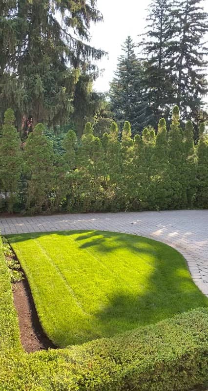 Dependable Lawn Care photo 3