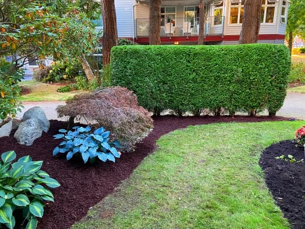 Diamante Lawnscapes