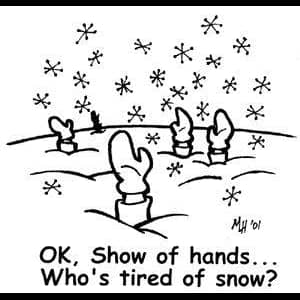 Discount Snow Removal photo 2