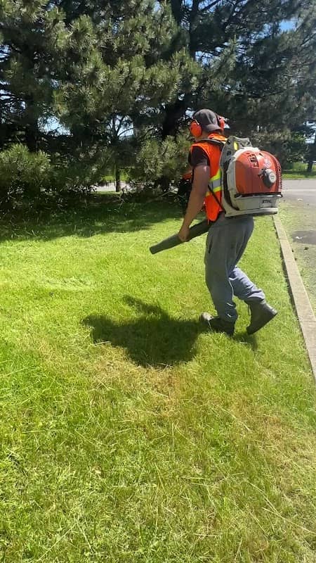 Dw Landscaping photo 3