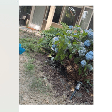 Eka Acres Landscaping photo 2