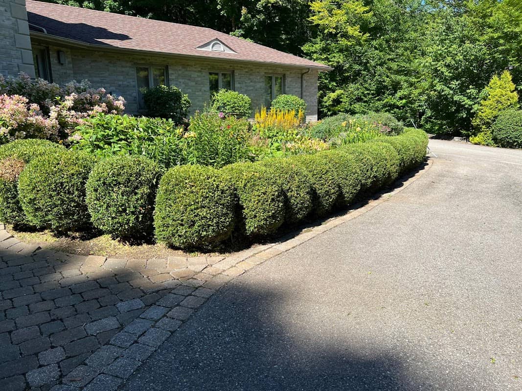 Elite yard maintenance project photo