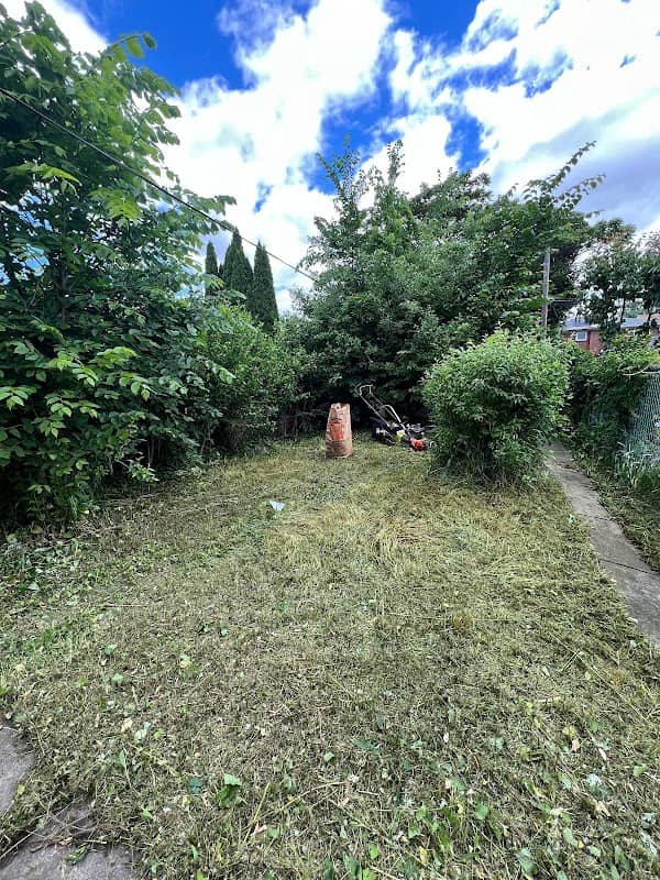 Elite yard maintenance photo 2