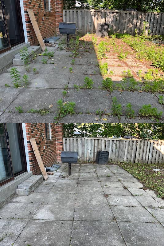 Elite yard maintenance photo 3