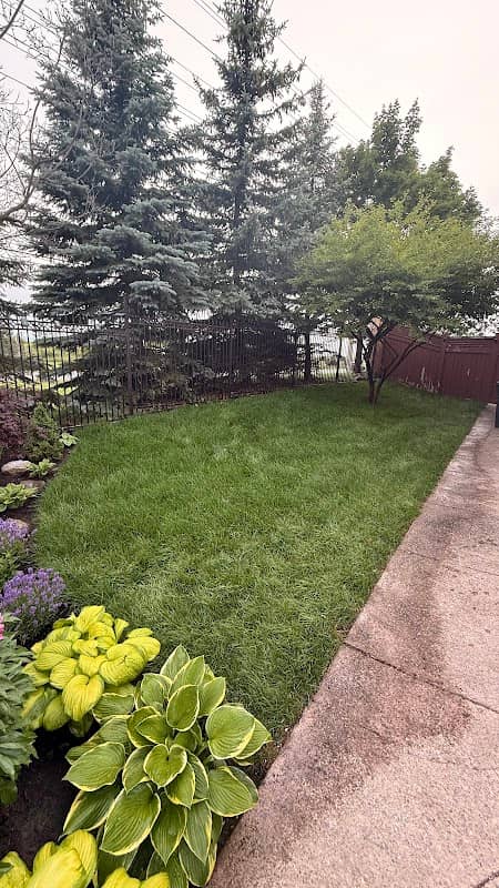 Eternal Green Landscaping photo 2