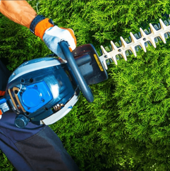 Evershine Landscaping photo 2