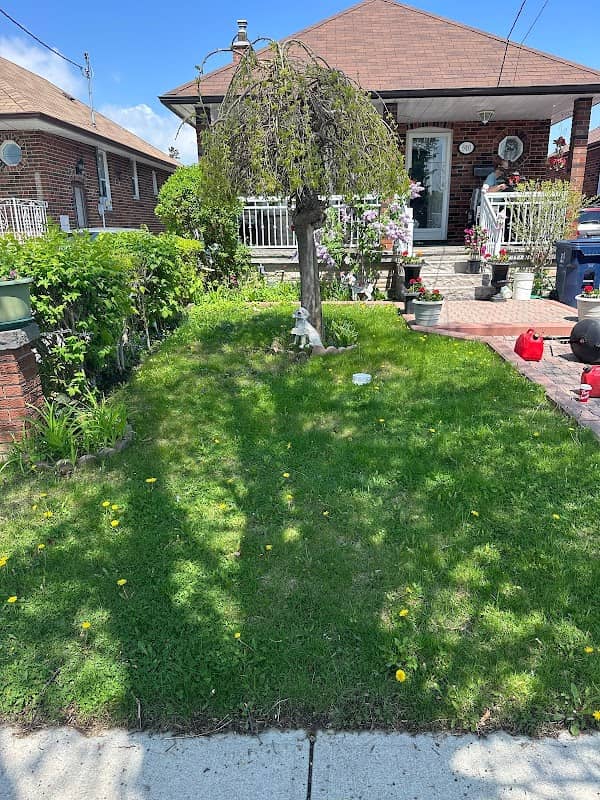 Farmer Landscaping photo 2