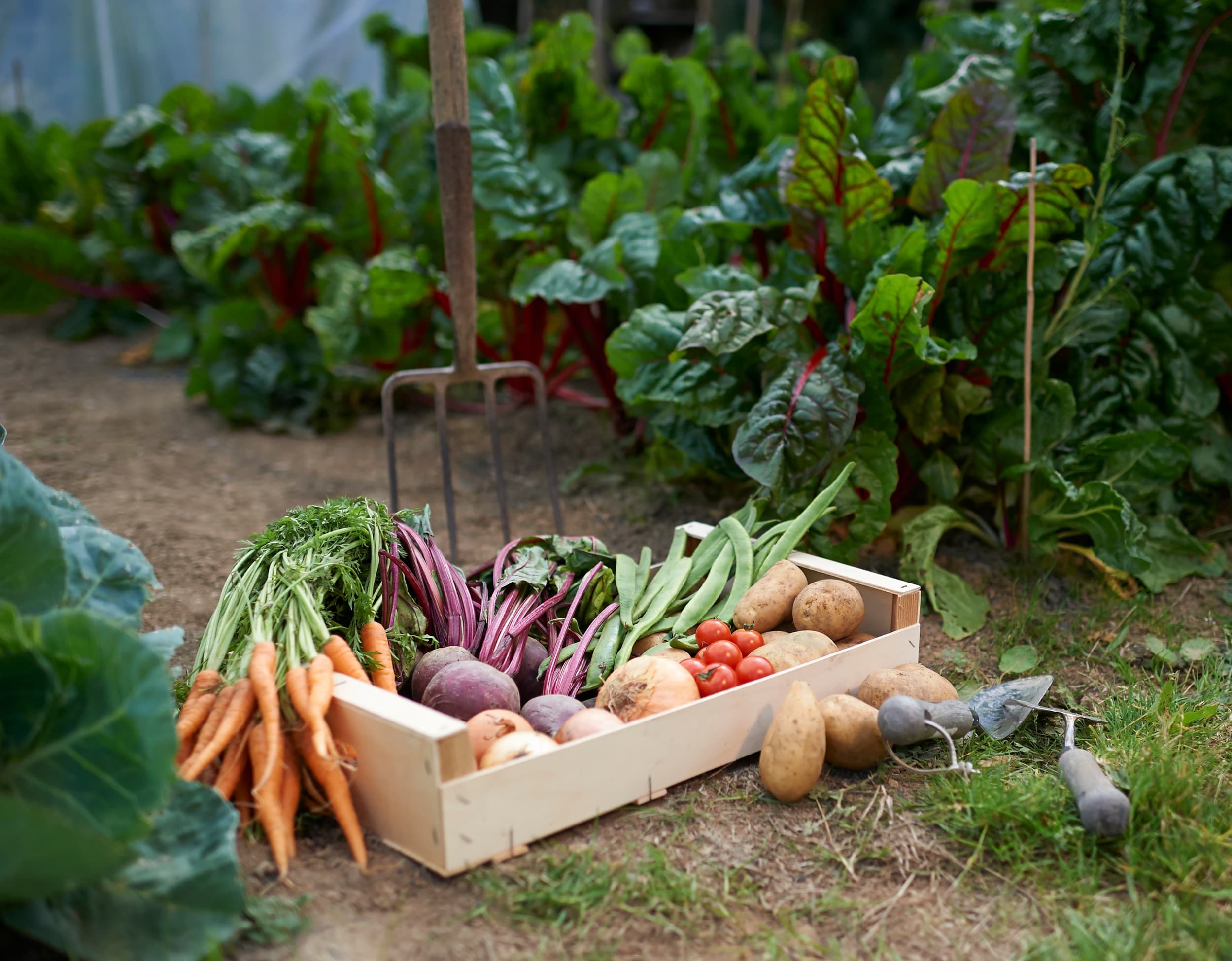 Foodscape Enterprises Inc photo 5