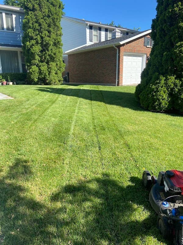 Forestis Landscaping project photo