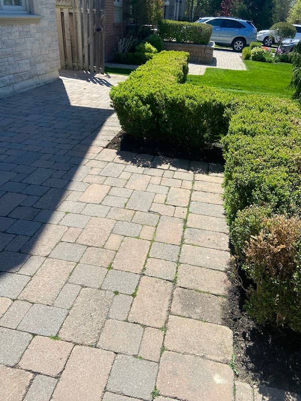Forestis Landscaping photo 2