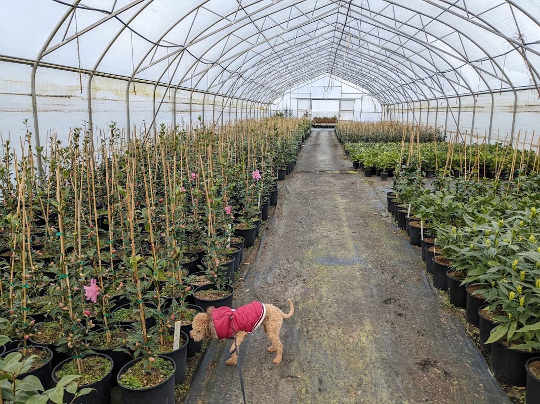 Fraserview Nursery