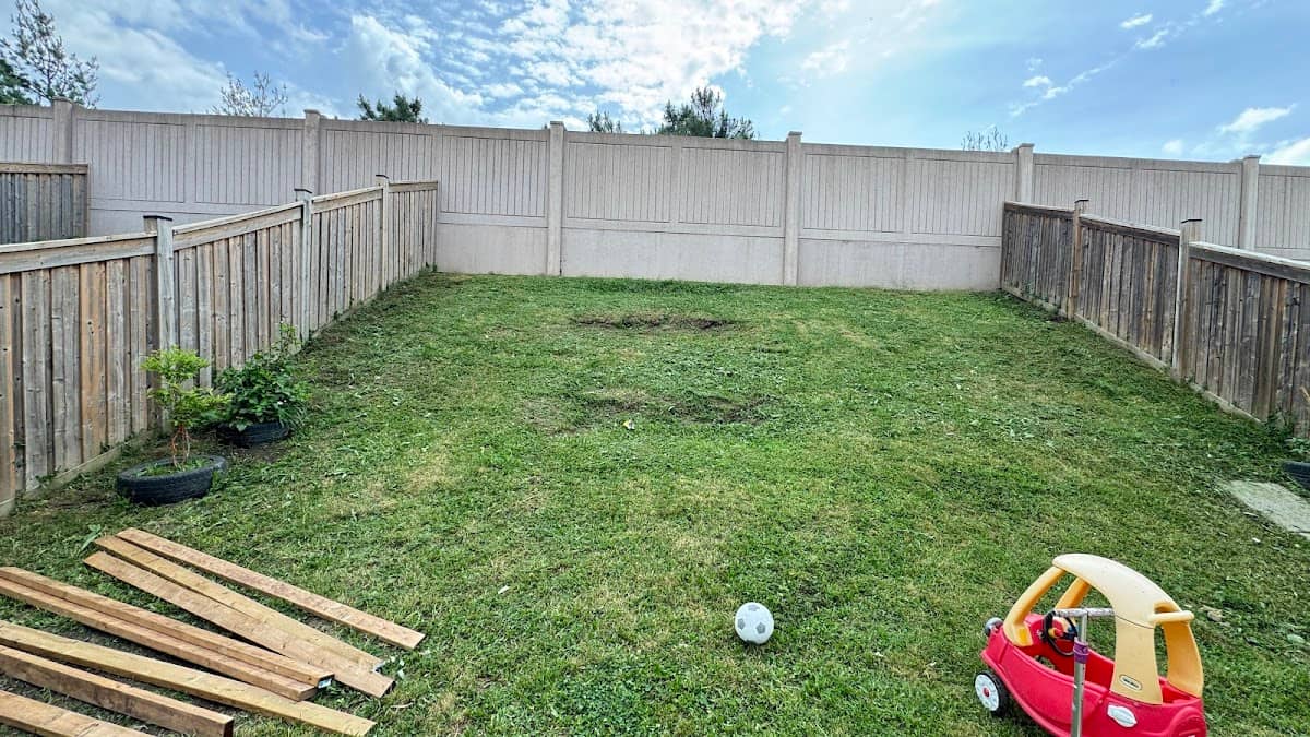 Fresh shine lawn service photo 4