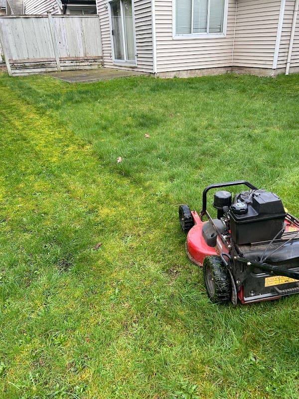 Freshway Gardening and Landscaping