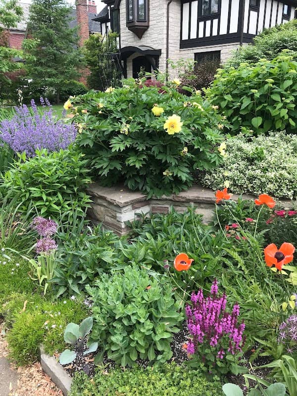 Garden by Vie Inc photo 3